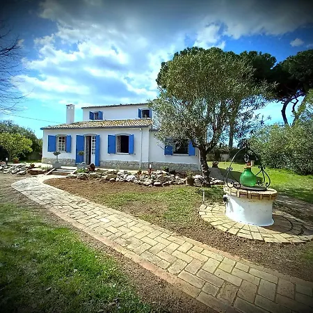 Villa Geko Sabaudia Exterior foto
