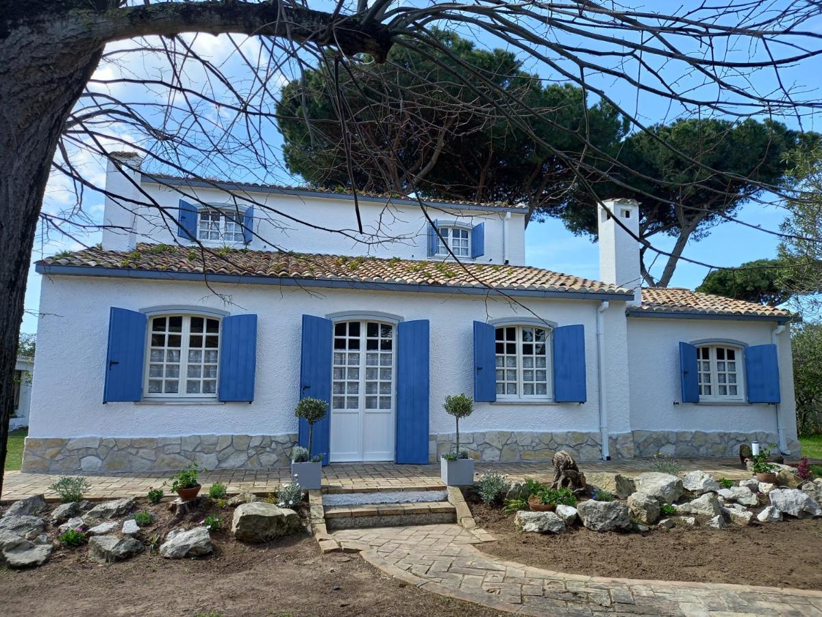 Villa Geko