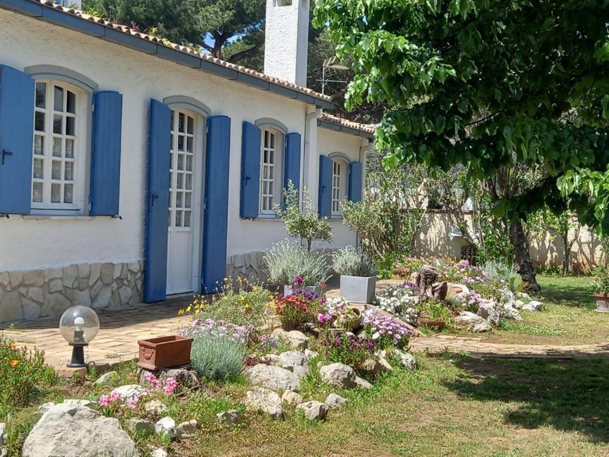 Villa Geko