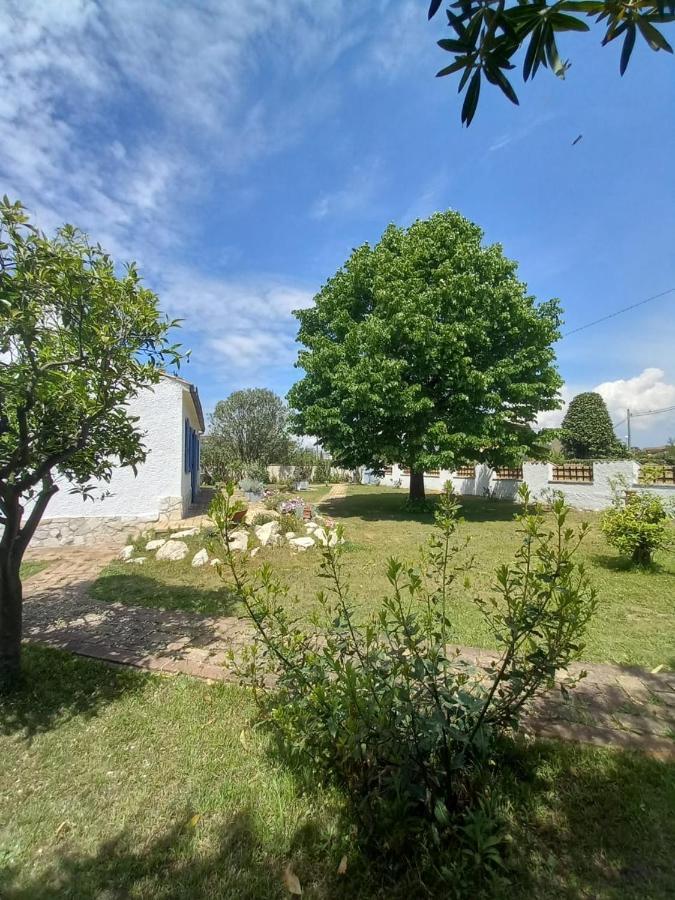 Geko Villa *