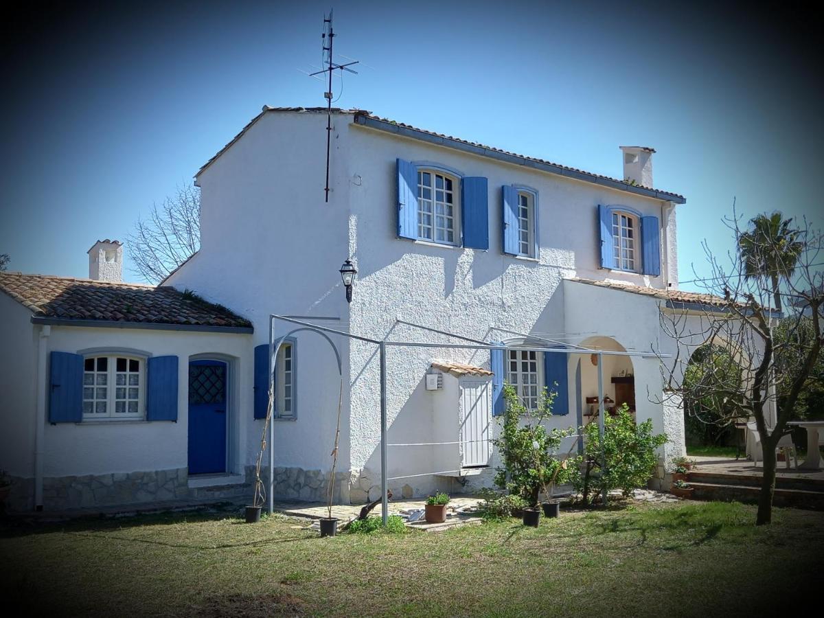Geko Villa